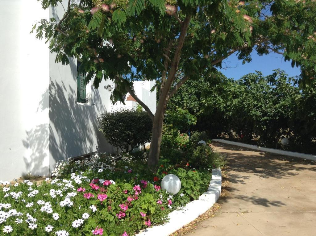 فندق أستير أوف ناكسوس Naxos City المظهر الخارجي الصورة
